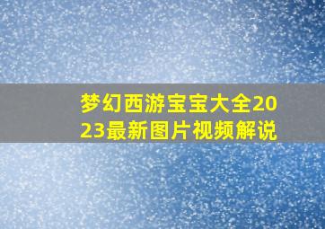 梦幻西游宝宝大全2023最新图片视频解说