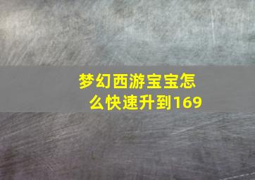 梦幻西游宝宝怎么快速升到169