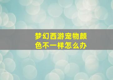 梦幻西游宠物颜色不一样怎么办