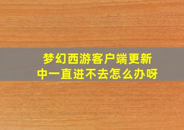 梦幻西游客户端更新中一直进不去怎么办呀