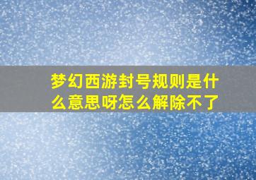 梦幻西游封号规则是什么意思呀怎么解除不了