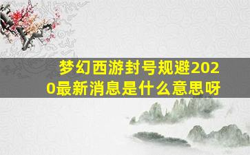 梦幻西游封号规避2020最新消息是什么意思呀