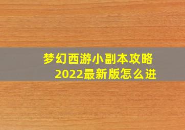 梦幻西游小副本攻略2022最新版怎么进