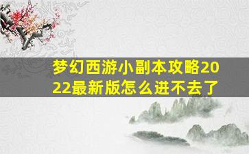 梦幻西游小副本攻略2022最新版怎么进不去了