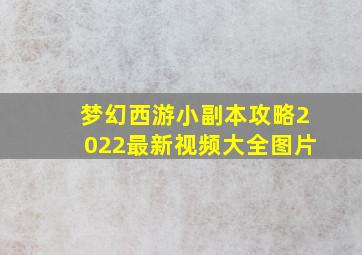 梦幻西游小副本攻略2022最新视频大全图片