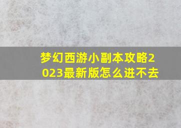 梦幻西游小副本攻略2023最新版怎么进不去