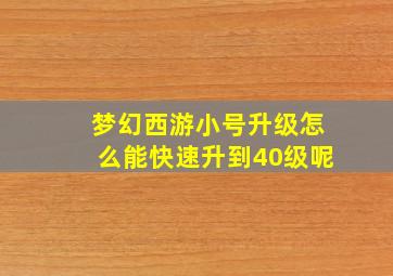 梦幻西游小号升级怎么能快速升到40级呢