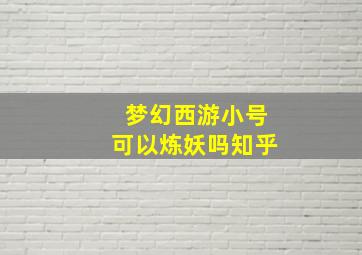 梦幻西游小号可以炼妖吗知乎