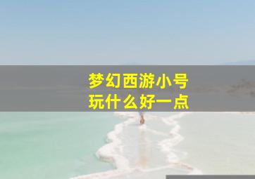 梦幻西游小号玩什么好一点