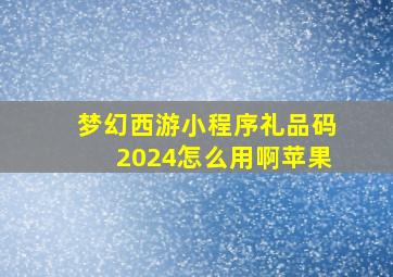 梦幻西游小程序礼品码2024怎么用啊苹果