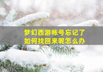 梦幻西游帐号忘记了如何找回来呢怎么办