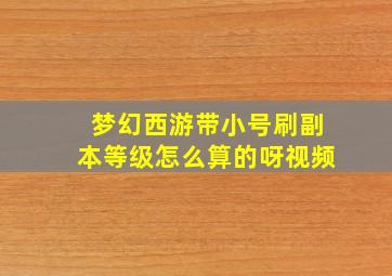 梦幻西游带小号刷副本等级怎么算的呀视频