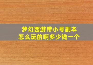 梦幻西游带小号副本怎么玩的啊多少钱一个