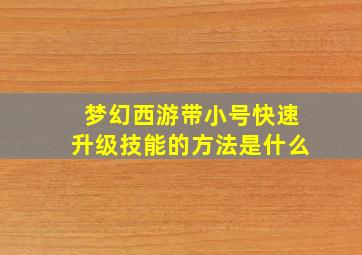 梦幻西游带小号快速升级技能的方法是什么