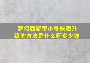 梦幻西游带小号快速升级的方法是什么啊多少钱