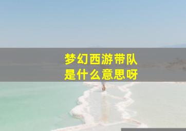 梦幻西游带队是什么意思呀