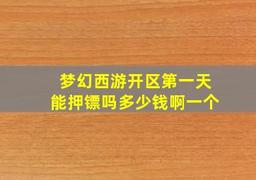 梦幻西游开区第一天能押镖吗多少钱啊一个