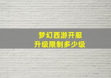 梦幻西游开服升级限制多少级