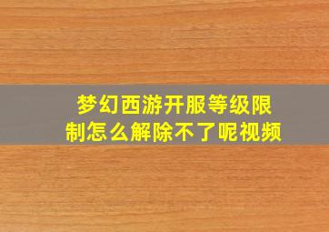 梦幻西游开服等级限制怎么解除不了呢视频