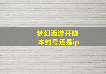 梦幻西游开脚本封号还是ip