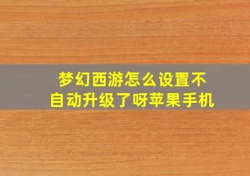 梦幻西游怎么设置不自动升级了呀苹果手机