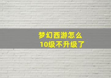 梦幻西游怎么10级不升级了