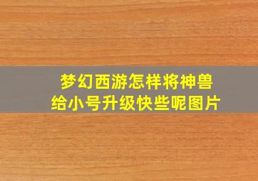 梦幻西游怎样将神兽给小号升级快些呢图片