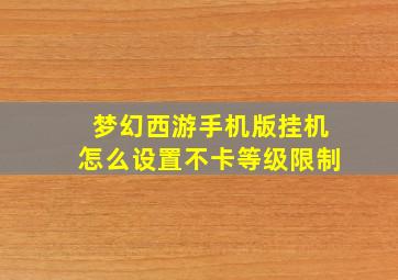 梦幻西游手机版挂机怎么设置不卡等级限制