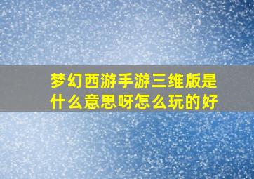 梦幻西游手游三维版是什么意思呀怎么玩的好