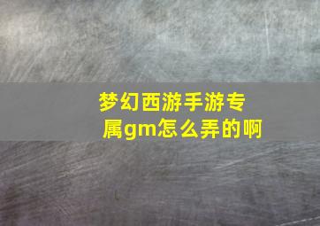 梦幻西游手游专属gm怎么弄的啊