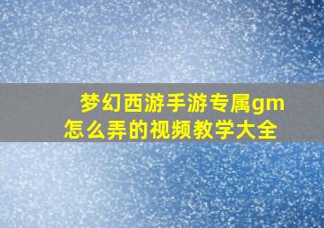 梦幻西游手游专属gm怎么弄的视频教学大全