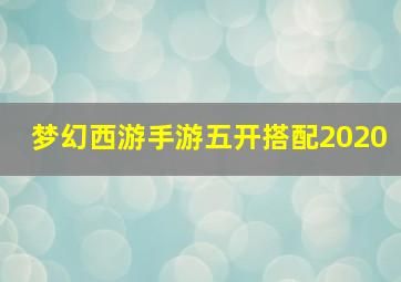 梦幻西游手游五开搭配2020