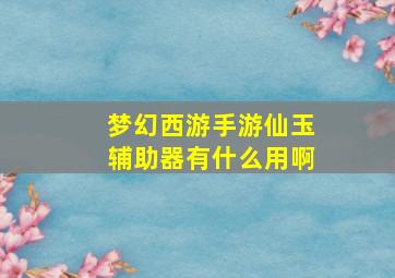 梦幻西游手游仙玉辅助器有什么用啊