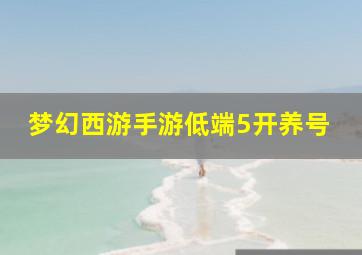 梦幻西游手游低端5开养号