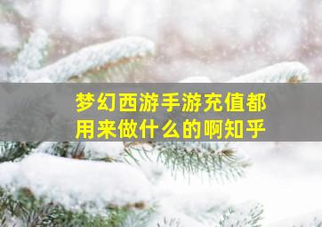 梦幻西游手游充值都用来做什么的啊知乎