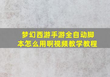 梦幻西游手游全自动脚本怎么用啊视频教学教程