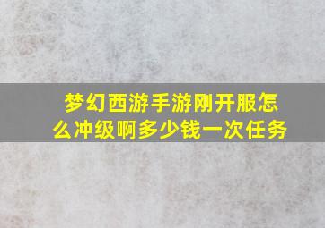 梦幻西游手游刚开服怎么冲级啊多少钱一次任务