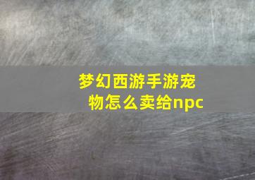 梦幻西游手游宠物怎么卖给npc