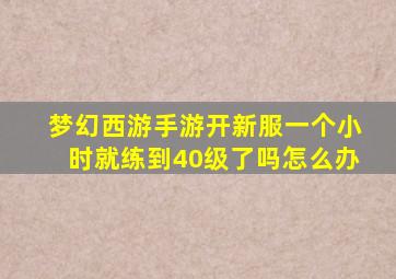 梦幻西游手游开新服一个小时就练到40级了吗怎么办