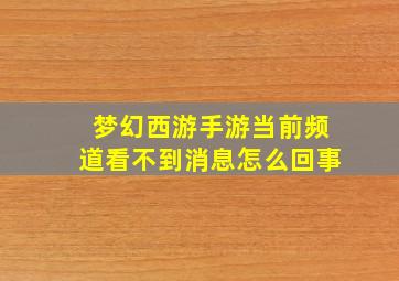 梦幻西游手游当前频道看不到消息怎么回事