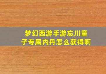 梦幻西游手游忘川童子专属内丹怎么获得啊