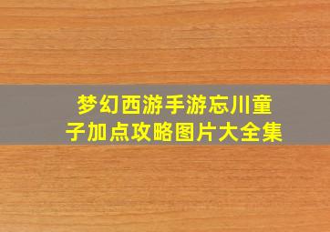 梦幻西游手游忘川童子加点攻略图片大全集