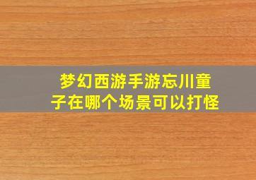 梦幻西游手游忘川童子在哪个场景可以打怪