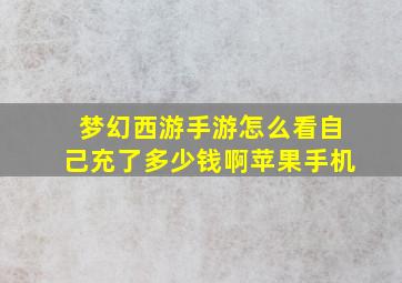 梦幻西游手游怎么看自己充了多少钱啊苹果手机