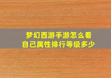 梦幻西游手游怎么看自己属性排行等级多少