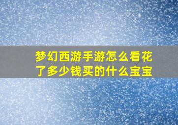 梦幻西游手游怎么看花了多少钱买的什么宝宝