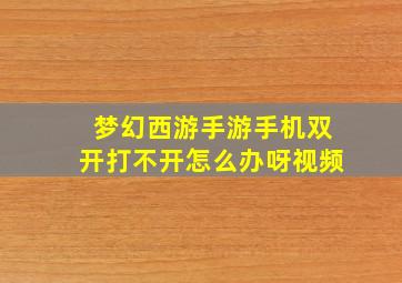 梦幻西游手游手机双开打不开怎么办呀视频