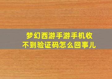 梦幻西游手游手机收不到验证码怎么回事儿