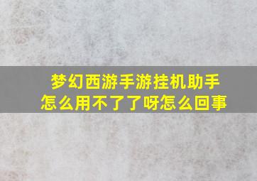 梦幻西游手游挂机助手怎么用不了了呀怎么回事