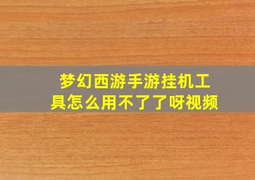 梦幻西游手游挂机工具怎么用不了了呀视频